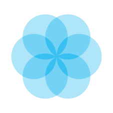 Salsify - Smartcat integrations