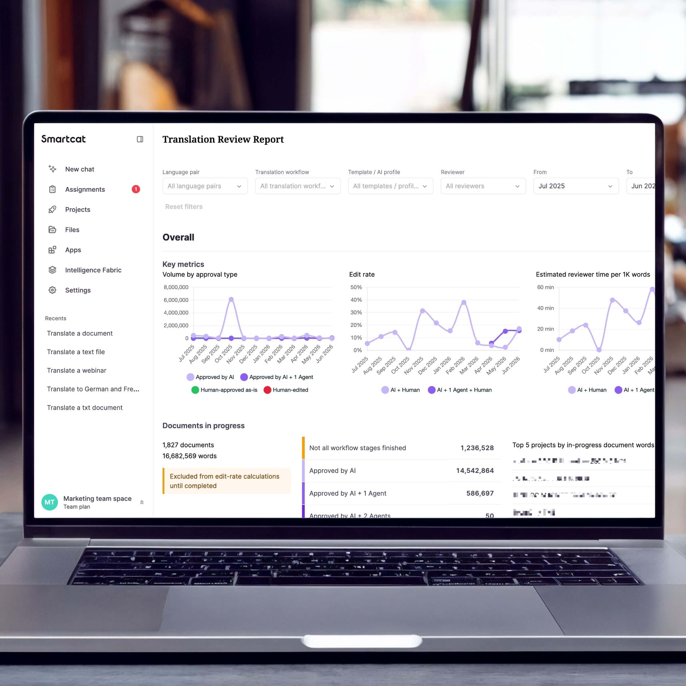 ROI Reports & Translation Editing Reports